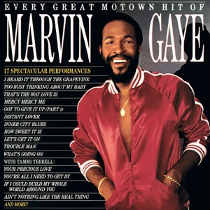 Every Great Motown Hit of Marvin Gaye