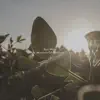 Sum Wave - Moments of Sundown