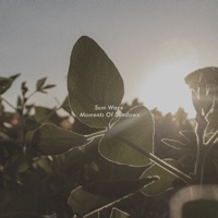 Sum Wave - Moments of Sundown