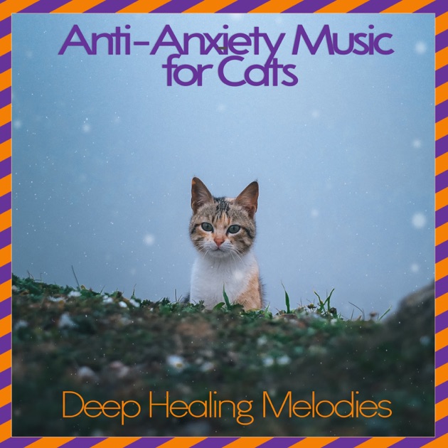 Anti anxiety cat music cheap