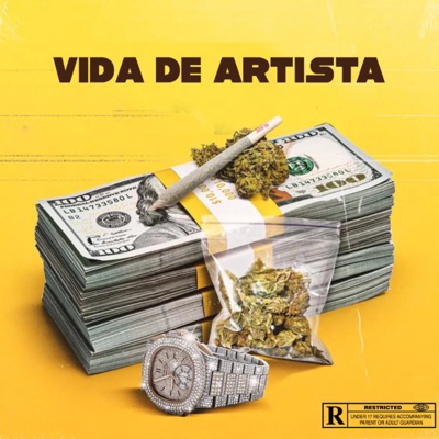 Vida de Artista