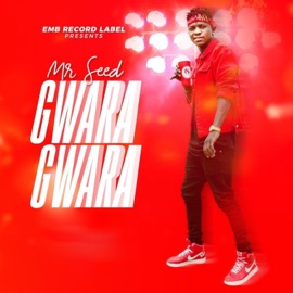 Gwara Gwara Mr Seed