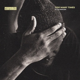 Too Many Times (feat. OLUWAF3Mi) Chapta5ive