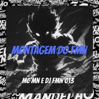 Montagem do Fmn - Single - DJ FMN 013 & MC MN