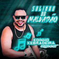 Solinho do Malvadão - Single - Edinho Kebradeira & Chelzinho no Beat