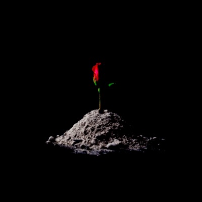 Elixir (feat. Paulo) - Single