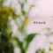 Ahava - Jessica Gallo lyrics