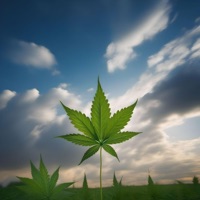 Cloud93 - Dank $inatra