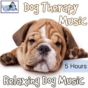 Dog Therapy Music - 5 Hours - Relaxing Dog Music