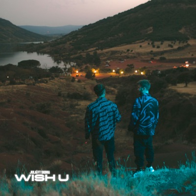 Wish u (feat. Sigma) - Single