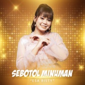 Sebotol Minuman artwork