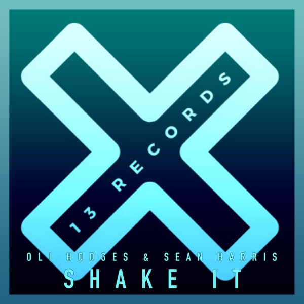 Shake It - Single
