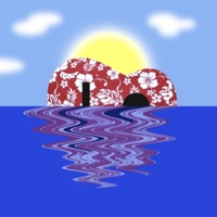 Island Slack Key Guitar - Charles Michael Brotman & Kapono Beamer