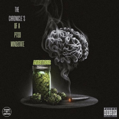 The Chronicles of a Ptsd Mindstate