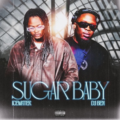 Sugar Baby (feat. Dj Ben) - Single