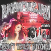 Don't Trust Bitches artwork