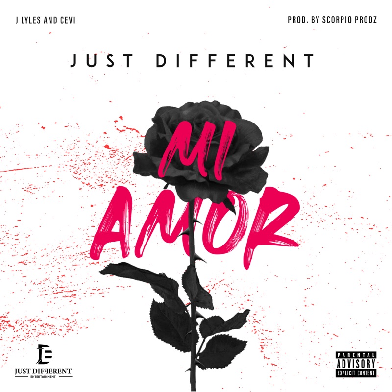 Mi Amor - Single