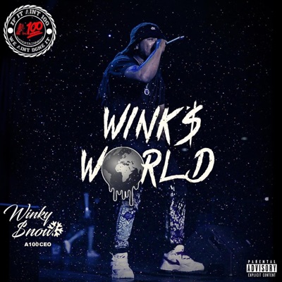Winks World