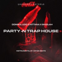 Party-n Trap House - Single - Domnul Udo