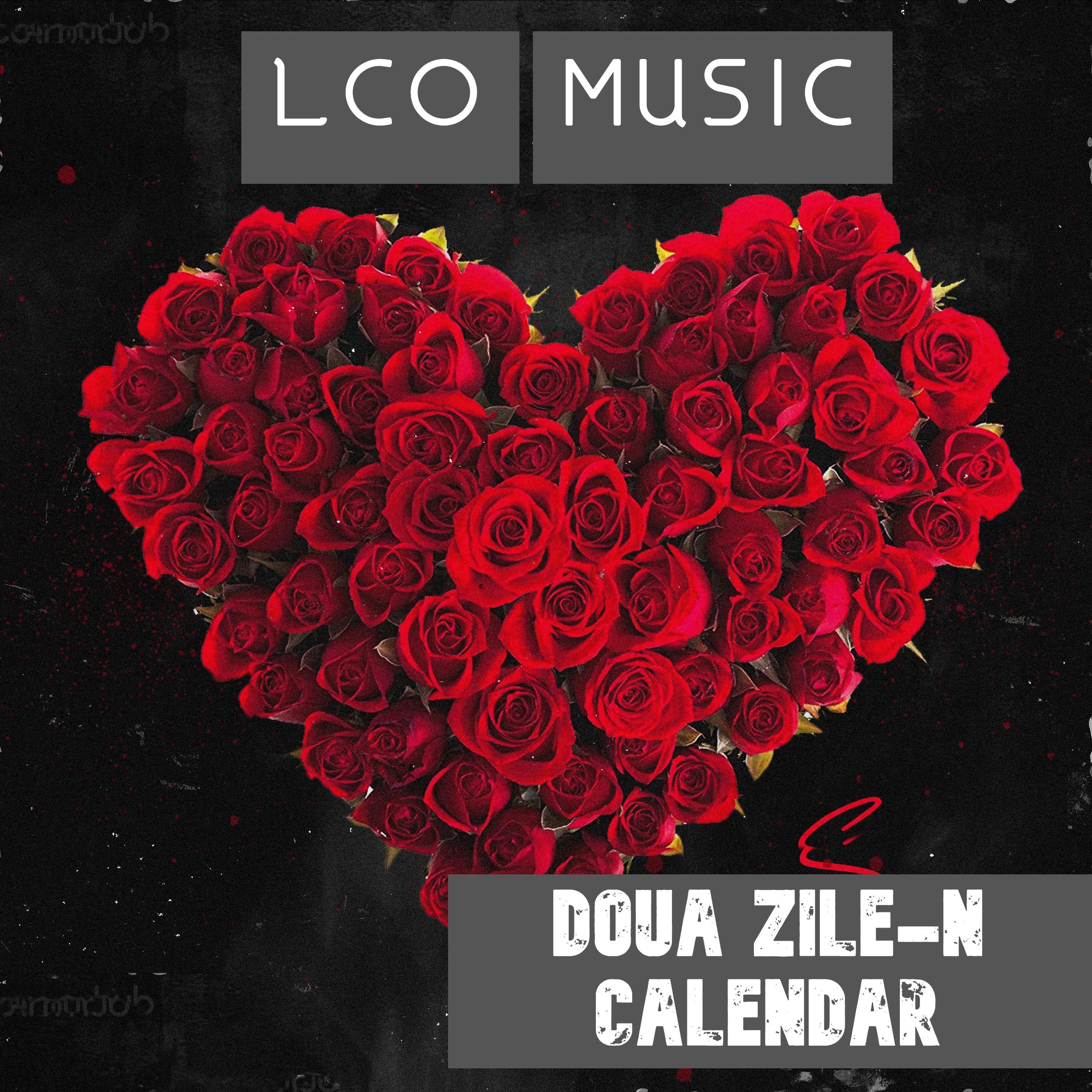 Doua Zile In Calendar - Single
