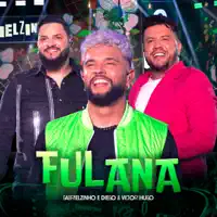 Fulana — Gabrielzinho & Diego & Victor Hugo
