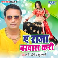 Ae Raja Bardas Kari - Single - Pramod Pardeshi & Renu Rupali