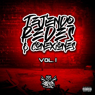 Tejiendo Redes & Conexiones, Vol. 1