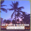 Sunete Ciripit De Pasari in Padure - Resurse crestine