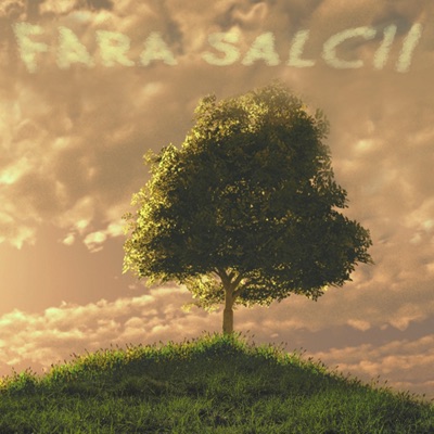 Fara Salcii - Single