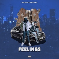 FEELINGS (feat. Ciggy Blacc) - Single - Bizz Gotti