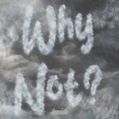 WHY NOT? - Single