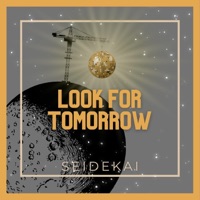 Look For Tomorrow - Single - Seidekai
