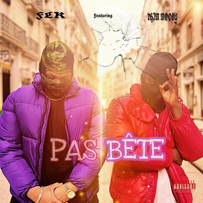 PAS BÊTE (feat. VHIM MOODY) - Single