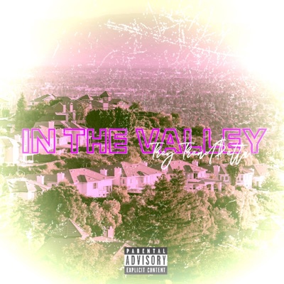 In The Valley - Single