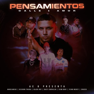 Temperatura (feat. Basty Corvalan)