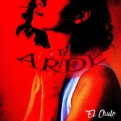 Te Arde artwork