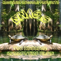 The Weekend (Summertime Vibes) - Single - Swag G