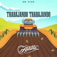 Trabajando Trabajando (En Vivo) - Single - LOS DE LA AURORA