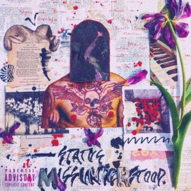 Nirvana Status Misunderstood