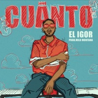 CUANTO? - Single - El Igor