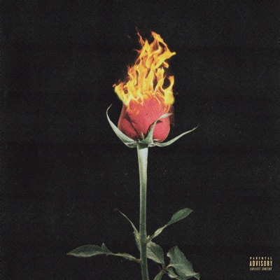 Thang4U - Single