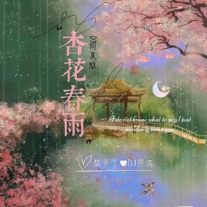 杏花春雨 (DJ何友版) - Single