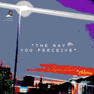 the way you perceive (feat. Ayeisha Raquel & Eklipse) - Single