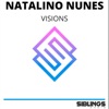 Visions - Single