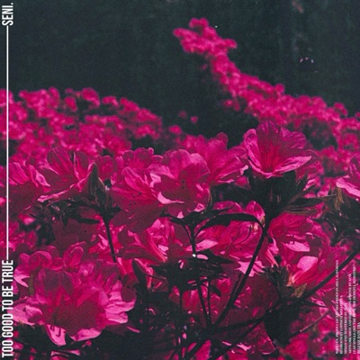 Too Good To Be True - Single