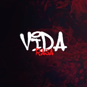 Vida Rasa (feat. DJ TAVIN SJ)
