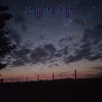 Stay the Night (Mary Bullrich Remix) - Single - SEIDS