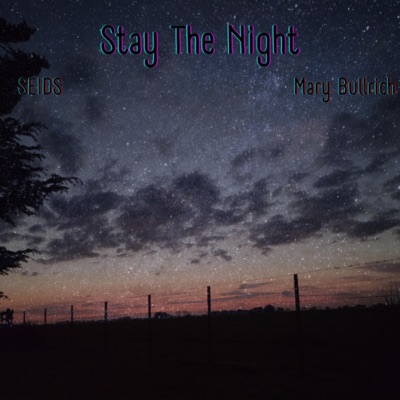 Stay the Night (Mary Bullrich Remix) - Single