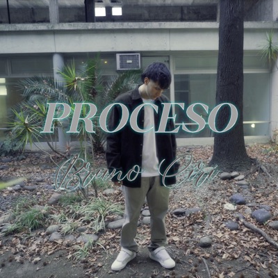 Proceso - Single