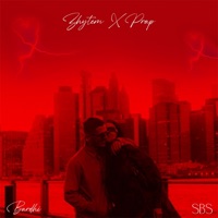 Zhytem x Prap - Single - BARDHI